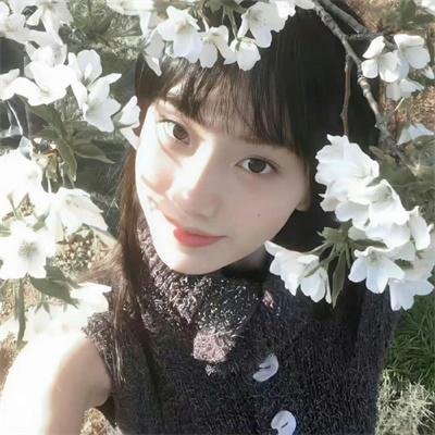 我的天才女友第二季